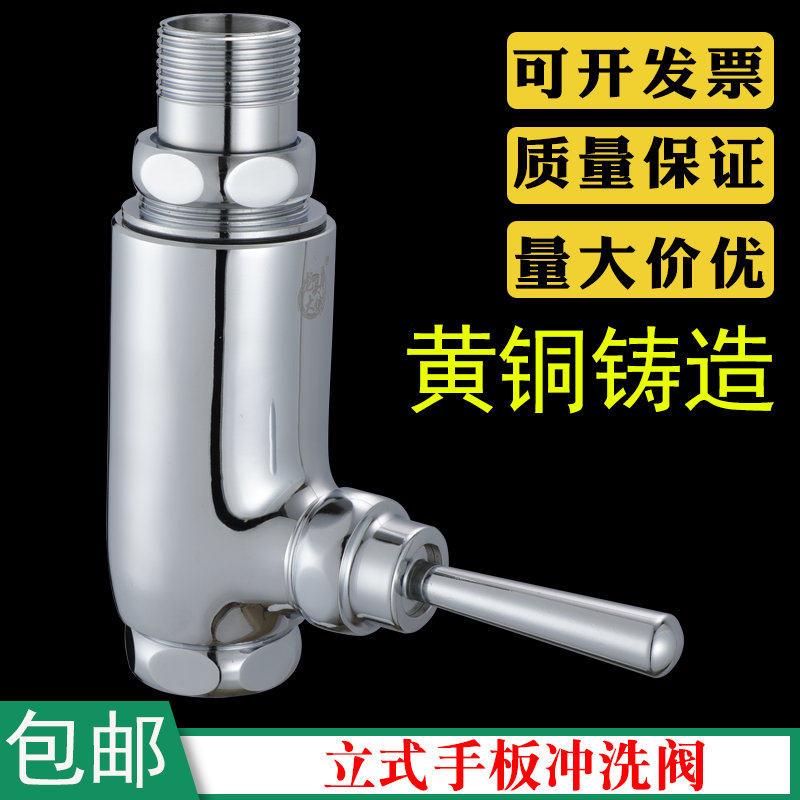 全铜手按蹲便器冲水器 立式手动冲洗阀 大便蹲坑延时阀冲洗阀包邮
