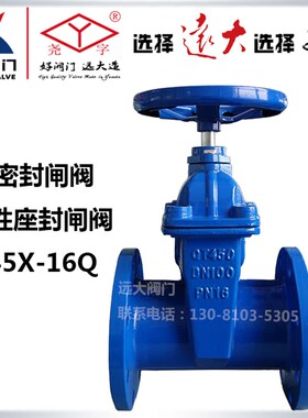 远大阀门Z45X-16Q球墨铸铁消防自来污水法兰dn100暗杆软密封闸阀