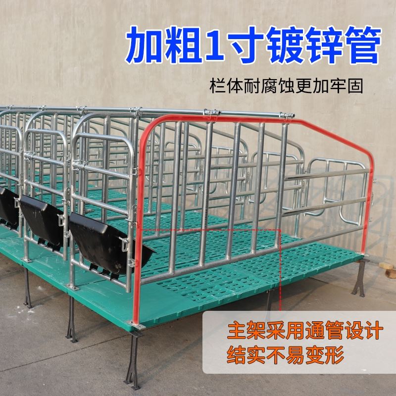 母猪定位栏落地式限位栏带漏粪板高床定位栏加厚热镀锌猪用母猪位