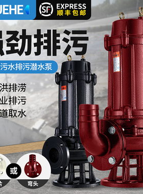 潜水泵220v污水泵工程排污泵泥浆泵三相380v农用灌溉抽水机搅匀泵