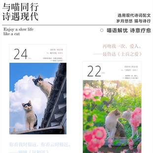 2025新治遇见猫咪历愈系日款小清新可爱文艺桌面摆件台历一天一页