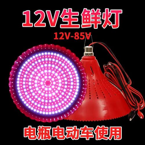 12V2鲜V48V地摊灯夜市低压电瓶灯生4灯猪灯灯水果熟食肉红光变色