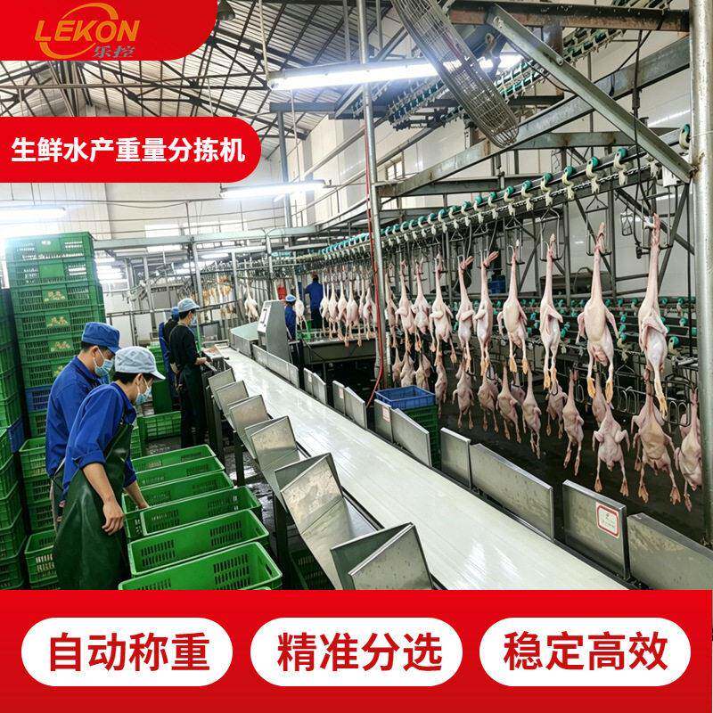 鸡腿重量多级分选机鱼肉称重分拣设备食品海鲜水产皮带选别称