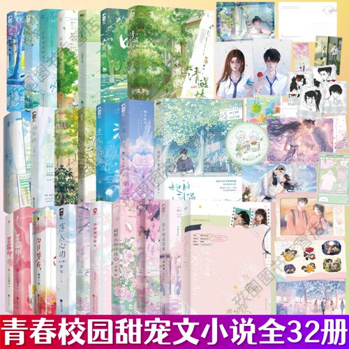 【青春校园甜宠文小说32册】