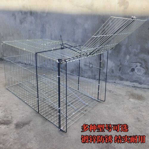 升级新款两用家用养殖户外鸽子天落笼只进不出会收笼新款加密笼子