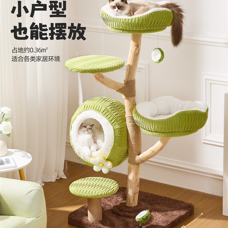 喵想树青椰猫爬架家用实木猫窝猫树一体小户型不占地猫爬架子
