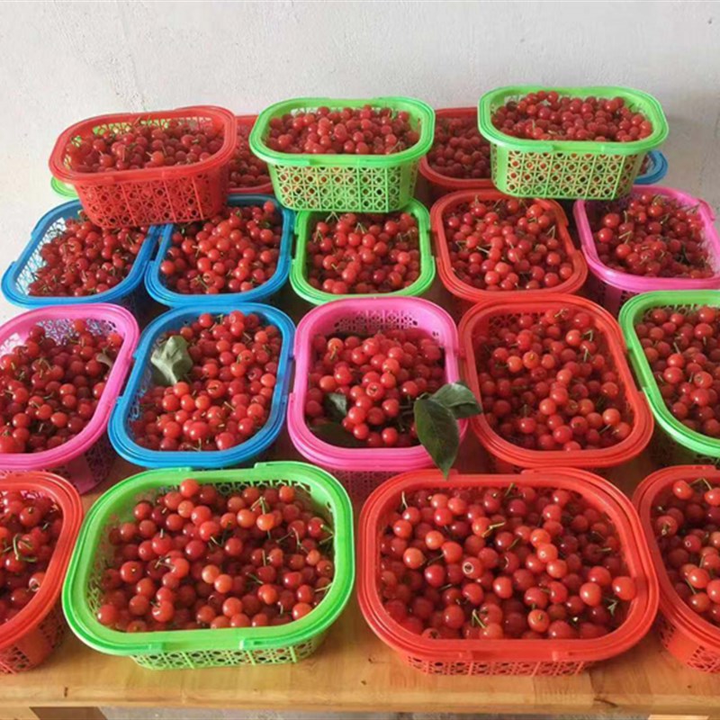 樱桃篮杨梅篮蓝莓篮塑料手提方篮子1-4斤装草莓篮小框子一次性篮