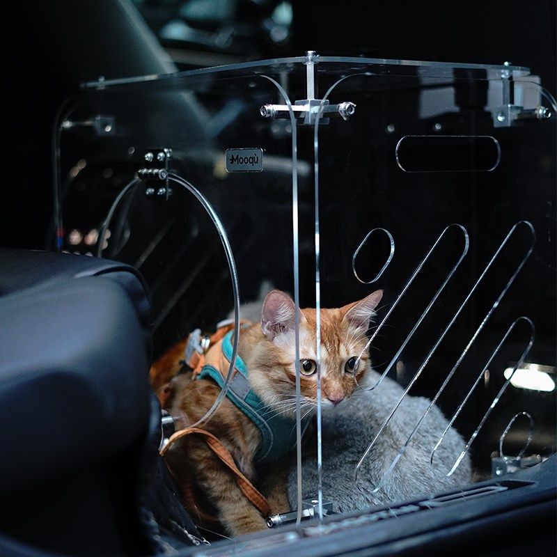 猫包宠物拉杆箱外出便携猫咪出行包狗大容量小型犬猫咪透明行李箱