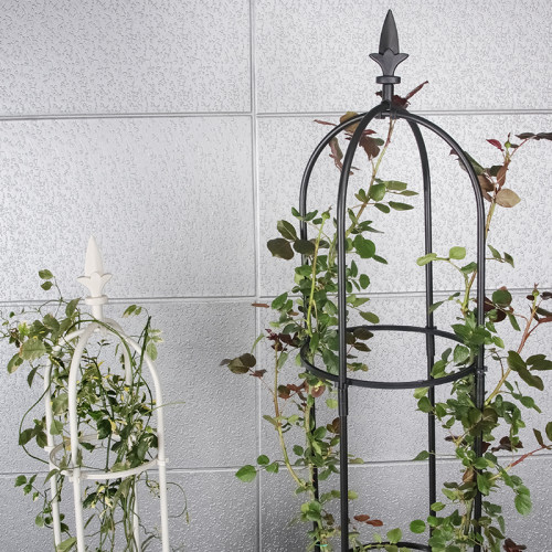 玫瑰花架铁线莲爬藤架月季支架牵引室外攀爬植物支撑杆