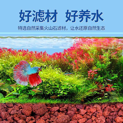 红火山石5-8毫米水族造景底砂 天然滤材养鱼专用底沙5斤精筛