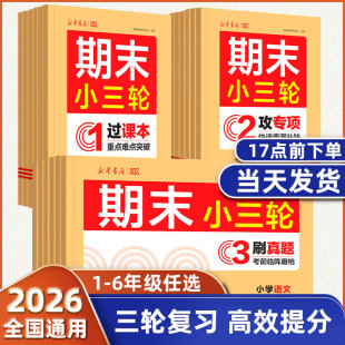 期末小三轮1-6语数英三轮复习核心考点真题