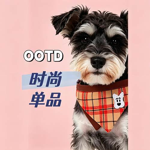 猫狗可调节双面三角口水巾拍照