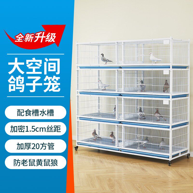 加密鸽子笼配对笼鹦鹉笼鸟笼鸽子赛鸽观赏鸽繁殖笼公棚鸽舍鸽子笼