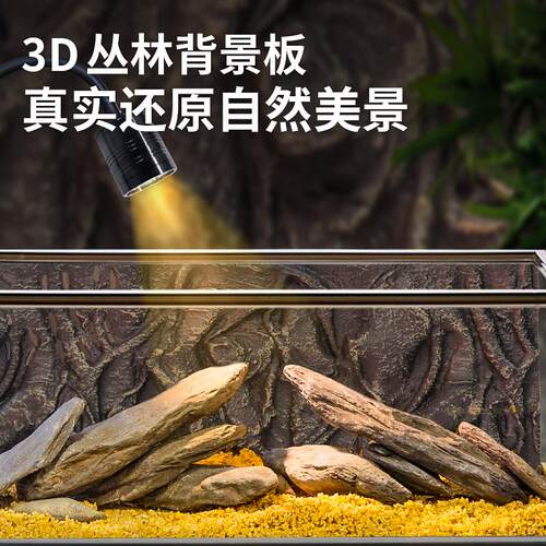 南美风溪流缸家用客厅小型超白玻璃鱼缸新款桌面造景水草生态鱼缸