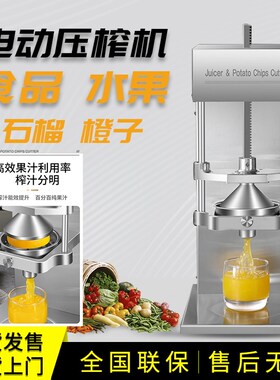 商用电动压榨机石榴柠檬榨汁机器压汁机挤压器压橙汁土豆切条机