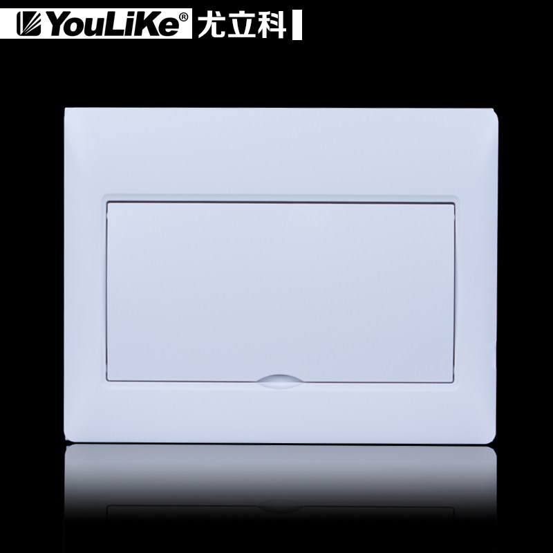 BE电室内明装配电箱盒挂墙开10-12回路家用强P布线箱箱关箱
