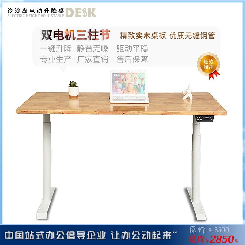 泠泠岛电动升降桌电脑办公桌作升降工可台书桌站立简式约现代桌子