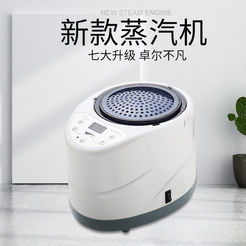 木桶蒸汽机汗蒸机熏蒸仪蒸汽锅浴箱熏蒸锅桑拿用大容量4升2000w