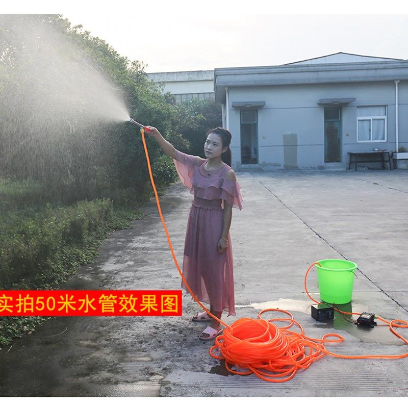 12伏电动农用喷雾器手提式打药机洗车抽水机苗圃果树12V撒药机器