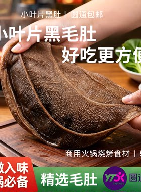 新鲜黑毛肚牛百叶5斤包邮爽脆