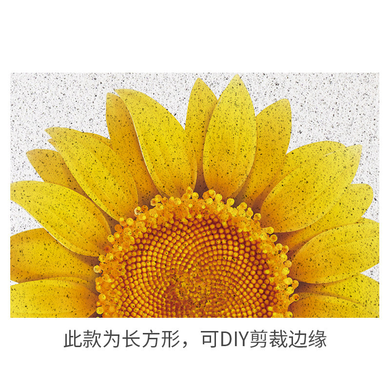 异型花朵丝圈地垫入户门口 进门地垫卧室厨房浴室装饰防滑垫定制