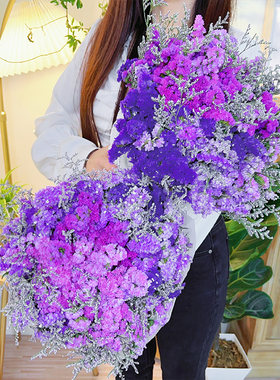 云南鲜花勿忘我干花花束满天星插花客厅摆设真花装饰摆件风干天然