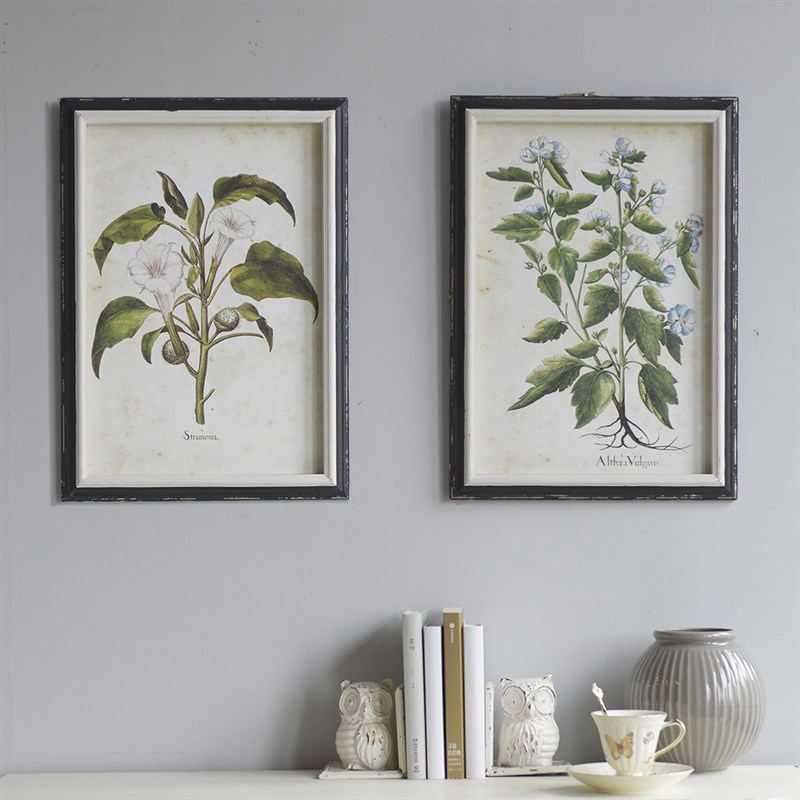 ZSH007 欧式美式乡村复古植物挂画背景墙花园玄关装饰画墙饰品