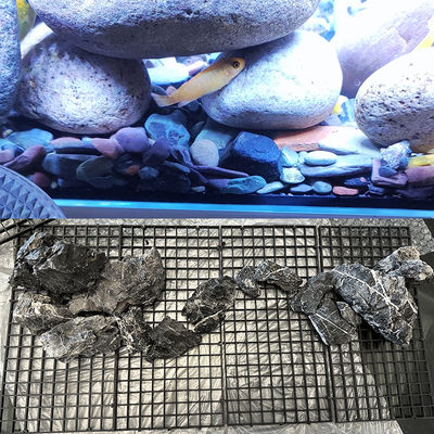 鱼缸底板网格过滤铺底造景垫底分隔板黑色鱼缸专用盖防跳网底板