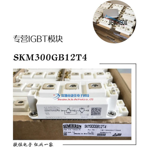 SKM400GB12E4 SKM400GB12T4 SKM300GB12E4 SKM300GB12T4/123D/128
