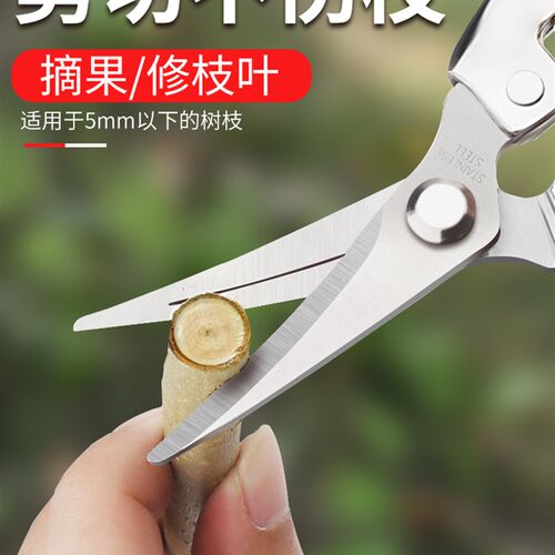 采摘专用剪枝剪刀摘果神器多功能园艺采果花艺剪修枝剪树枝小剪刀