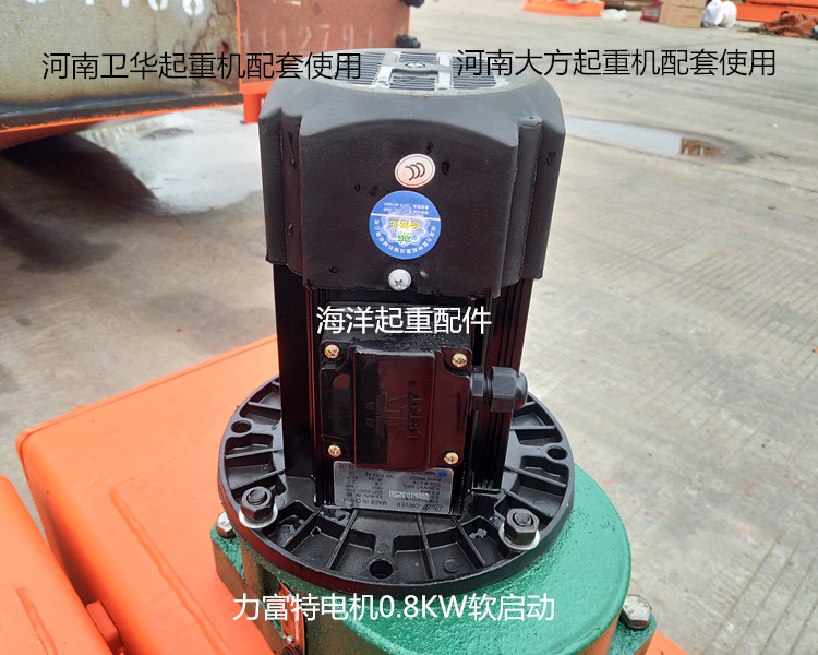 力富特黑色软启动电机河南卫华重型大方重机纽科伦起重机配套使用