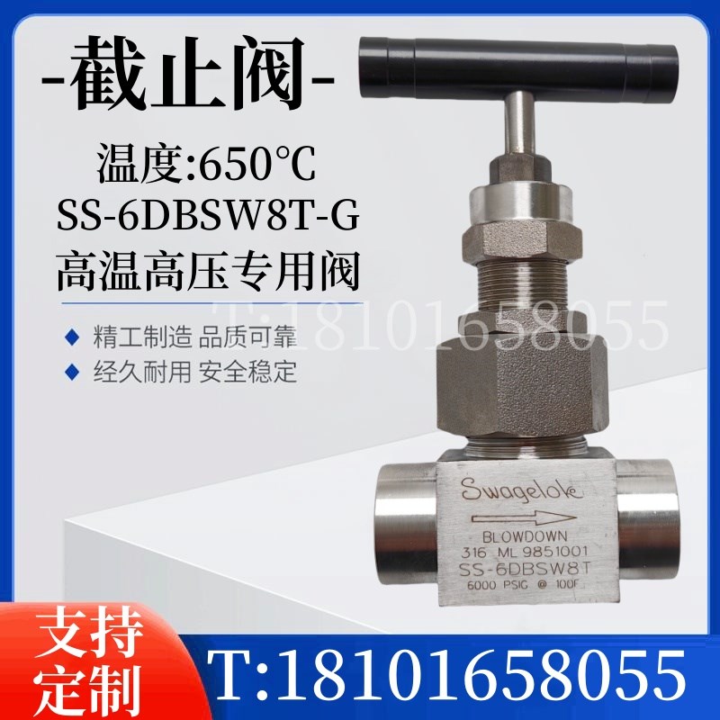 高压阀SS-6DBSW8T-G高温高压截止阀 swagelok 世伟洛克阀门承插焊