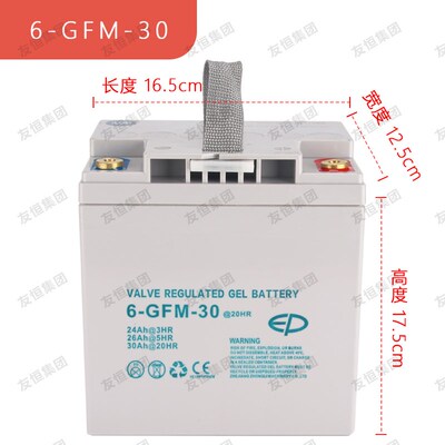 6-GFM-30 30A 中力小金刚液压升降搬运车电动叉车电瓶蓄电池