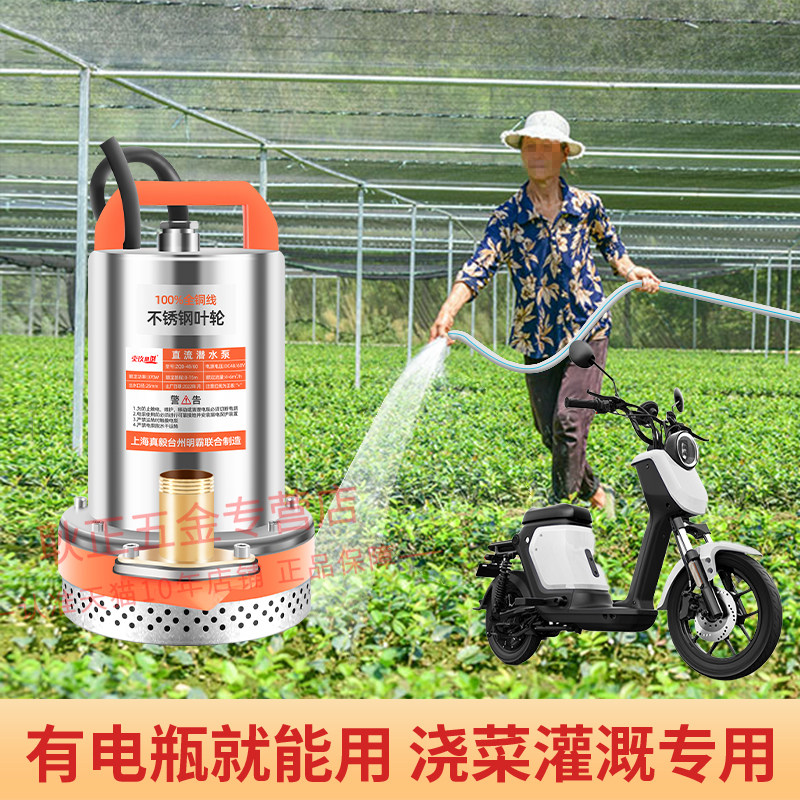 直流潜水泵12V48V60V家用电瓶车抽水机迷你小型电动农用浇菜神器