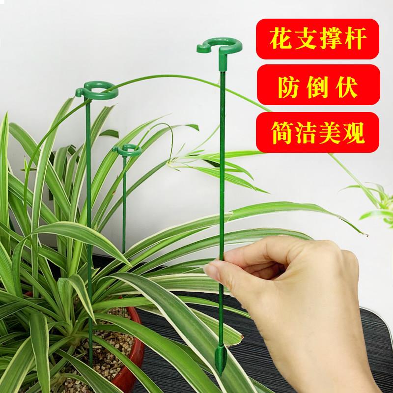 简约花架蝴蝶兰支撑架 多尺寸花卉防倒伏支架 养花专用固定架