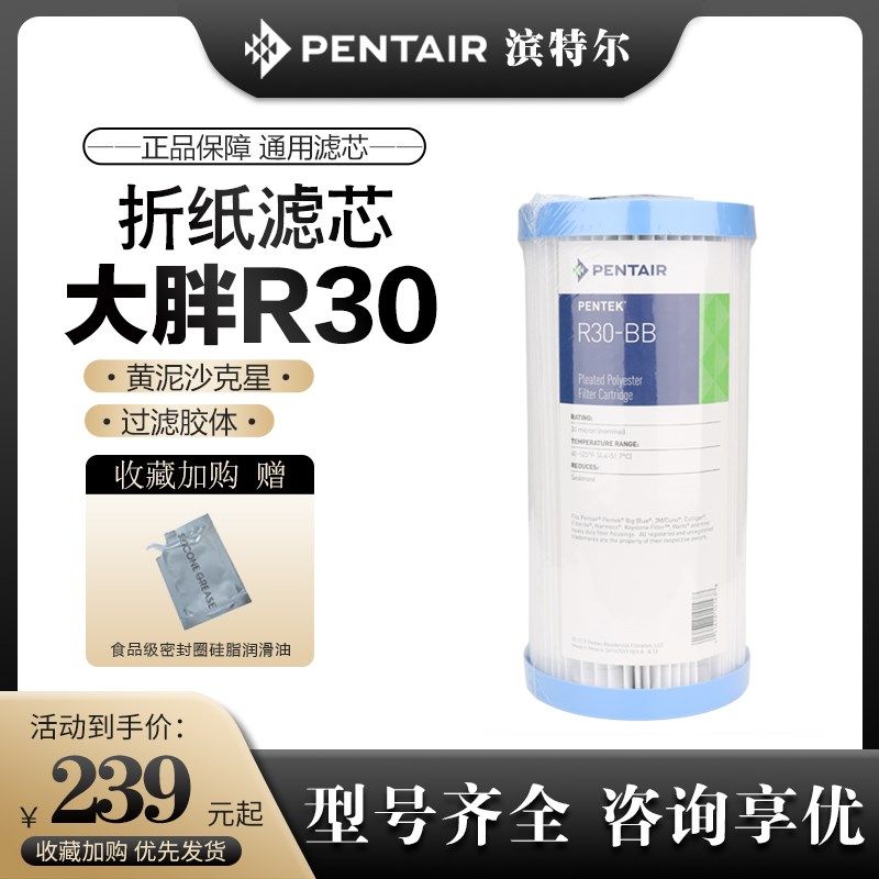 滨特尔大蓝瓶10寸全屋大胖前置过-器R30滤BB折纸替P代P棉通用滤芯
