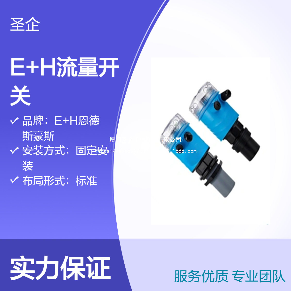 E+H流量开关DTT31-A1C111AB2BAB 振动式限位开关 FTL31-AA4U3BAWS