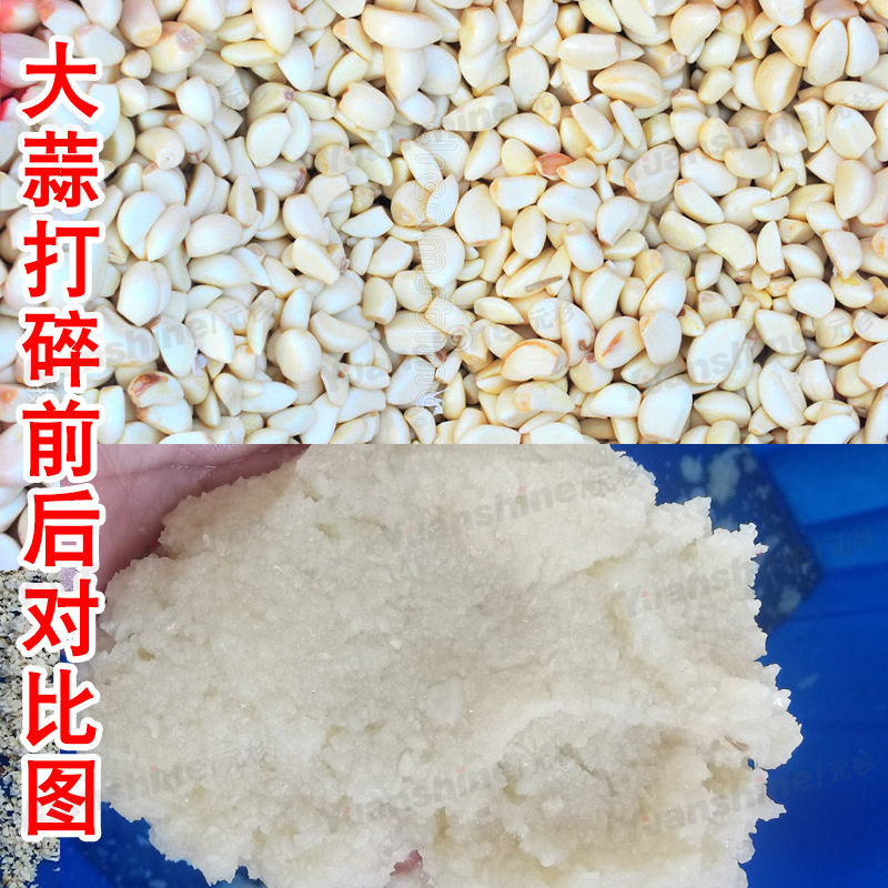 不锈钢多功能蒜泥切碎机