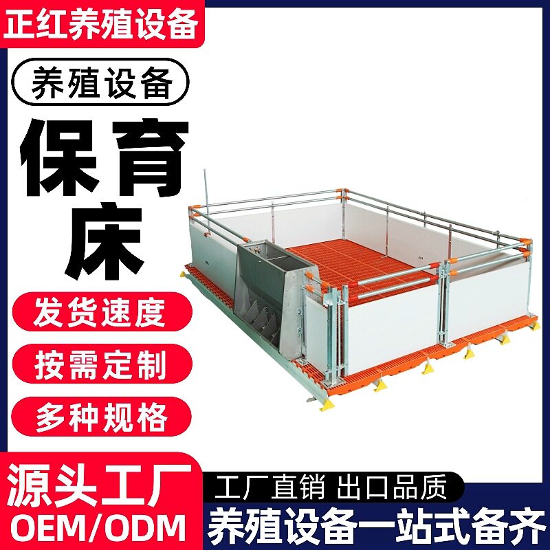 正红养殖设备 养殖场仔猪保育床 小猪仔猪专用欧式保育床保育栏
