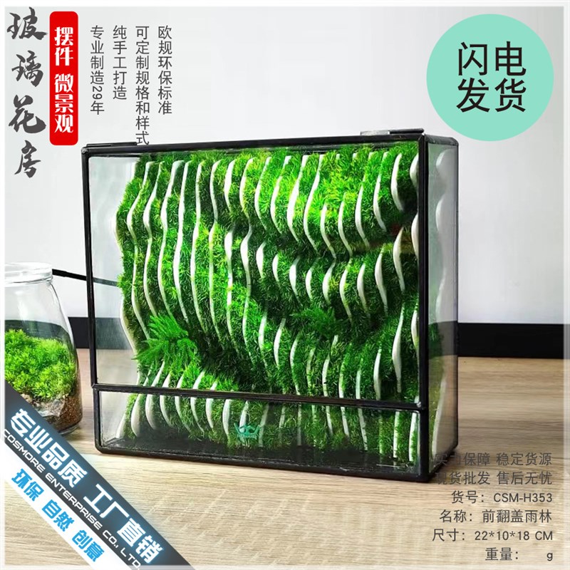 微景观几何玻g璃花房苔藓墙玻璃缸桌面生态瓶造景植物微缩森林景