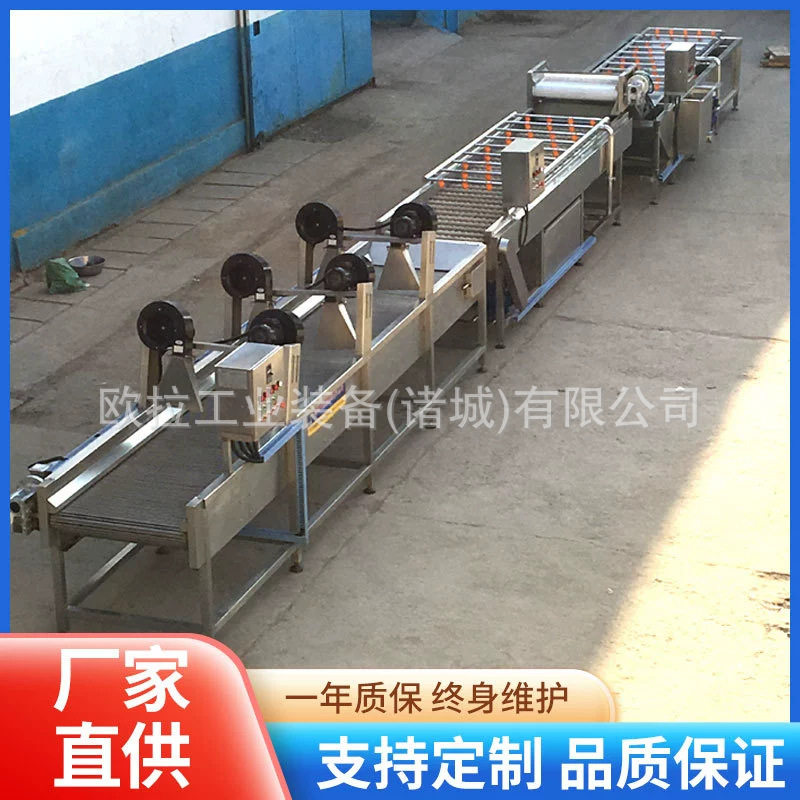 全自动喷淋气泡果蔬清洗机