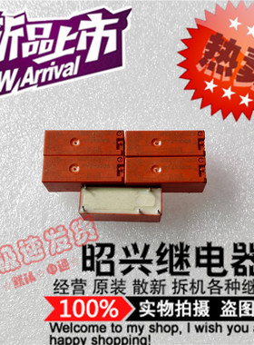 特价促销RY210005 全新进口RY210005-5VDC 泰科8A/250VAC继电器