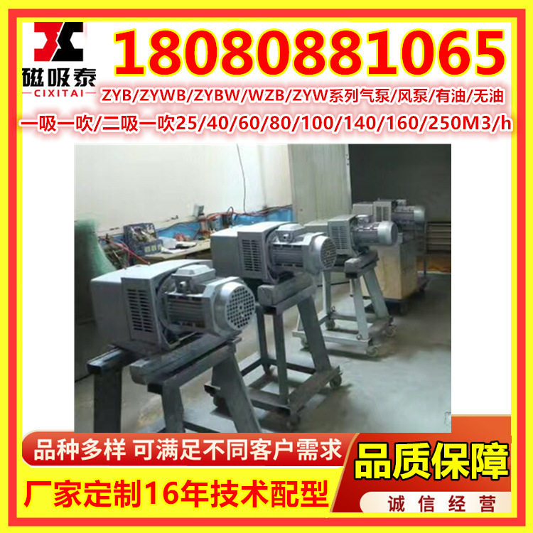 镇江气泵ZBW80E单吸大流量风泵替代BECKER贝克KVT3.80无油真空泵