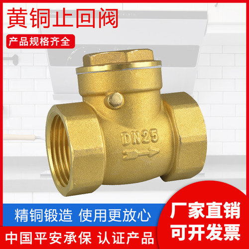 阀门止回阀卧式逆止阀铜4 6分1寸DN15 20 25 32 40 50内外丝工程