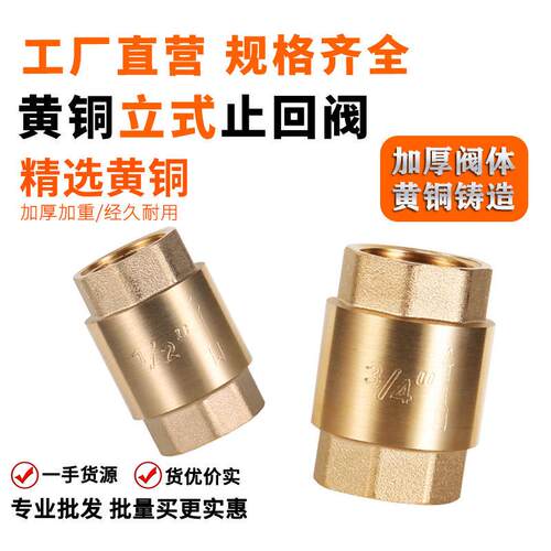 加厚全铜内丝立式止回阀4分6分水管弹簧单向阀水表防反水逆止阀