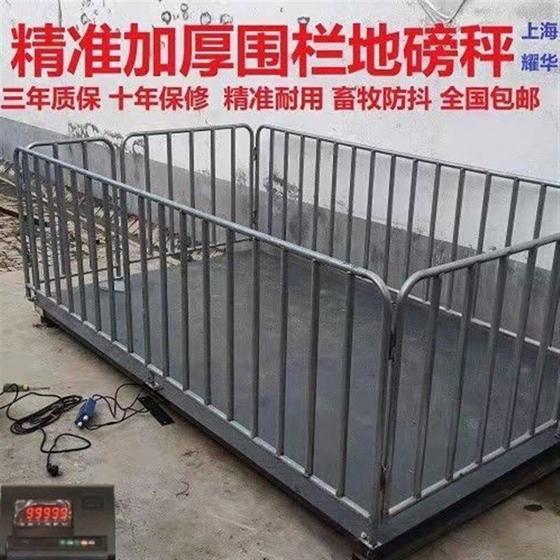 德国进口包邮耀华地磅秤称猪称牛地磅称电子秤1-3吨大小型地磅地