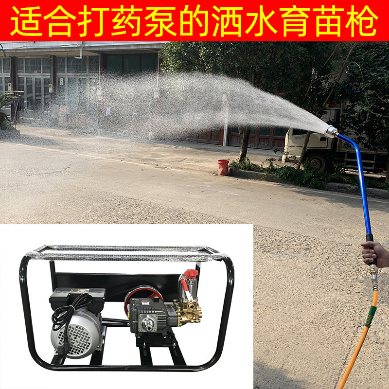 2000目园艺花洒苗浇水花卉打药机喷头园林洒水器长杆喷水枪浇花菜