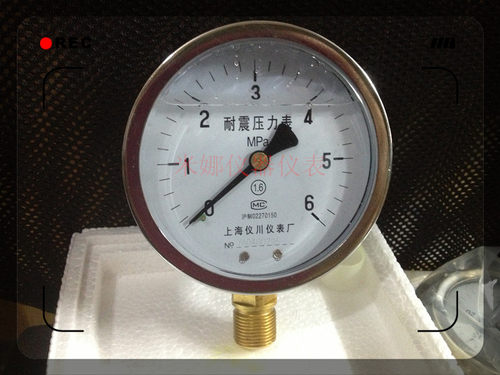 雷尔达上海仪川YN-100径向耐震充油抗震压力表水压表气压表0-1MPA