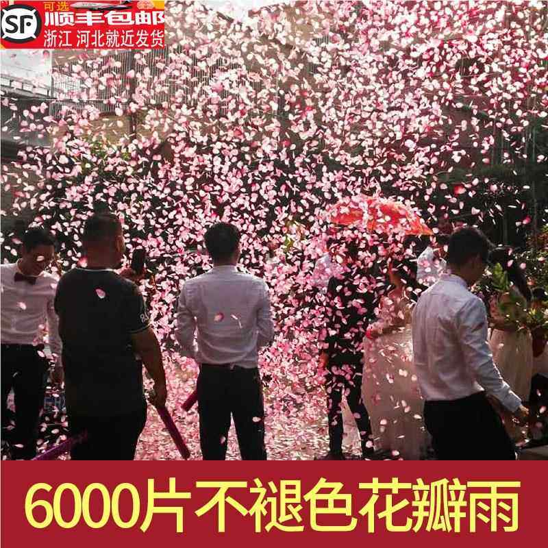 花瓣雨喷炮筒手持礼炮礼花筒礼筒花礼炮花结婚婚礼婚庆用品大全