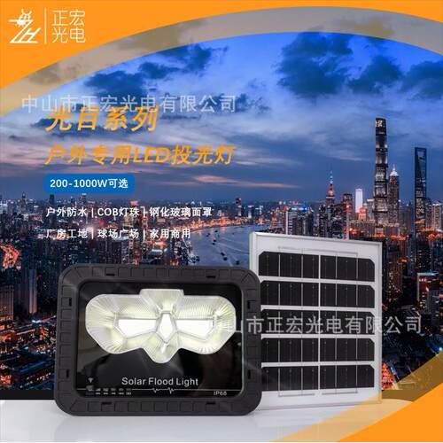 光目太阳能柱头灯太阳能路灯LED分体新农村道路照明大功率户外防